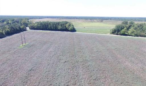 Photo of SOLD!  224 Acres of Timber and Farm Land in Suffolk County VA!