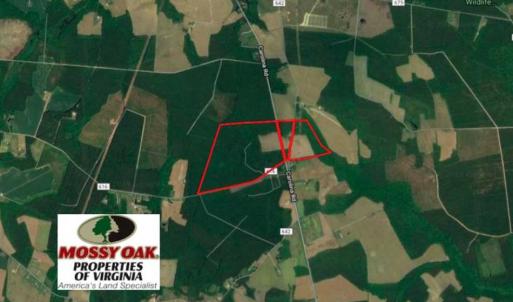 Photo of SOLD!  224 Acres of Timber and Farm Land in Suffolk County VA!