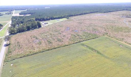 Photo of SOLD!  224 Acres of Timber and Farm Land in Suffolk County VA!