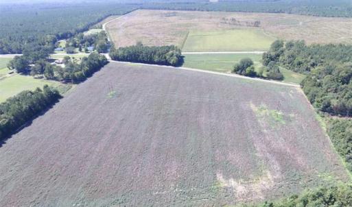 Photo of SOLD!  224 Acres of Timber and Farm Land in Suffolk County VA!