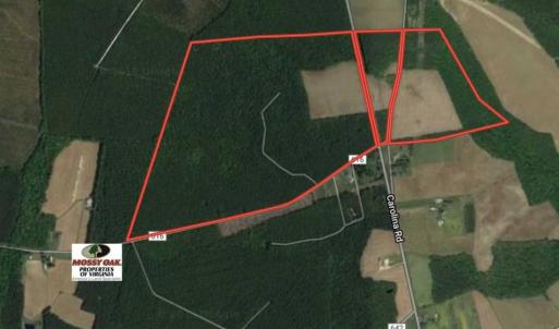 Photo of SOLD!  224 Acres of Timber and Farm Land in Suffolk County VA!