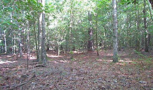 Photo of SOLD!!  17 Acres of Timber and Farm Land in Southampton County VA!