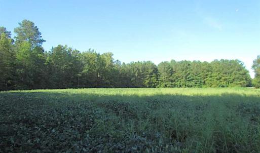 Photo of SOLD!!  17 Acres of Timber and Farm Land in Southampton County VA!