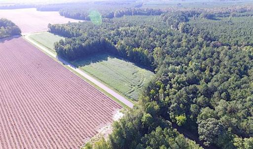 Photo of SOLD!!  17 Acres of Timber and Farm Land in Southampton County VA!