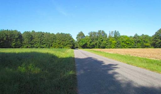 Photo of SOLD!!  17 Acres of Timber and Farm Land in Southampton County VA!