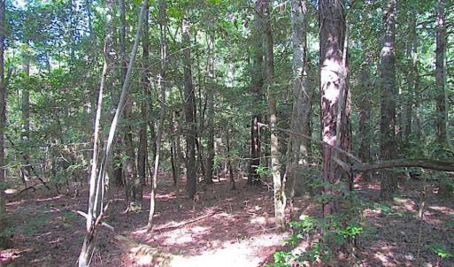 Photo of SOLD!!  17 Acres of Timber and Farm Land in Southampton County VA!