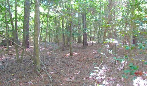 Photo of SOLD!!  17 Acres of Timber and Farm Land in Southampton County VA!
