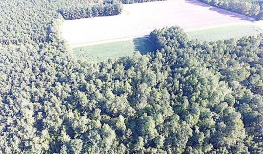 Photo of SOLD!!  17 Acres of Timber and Farm Land in Southampton County VA!