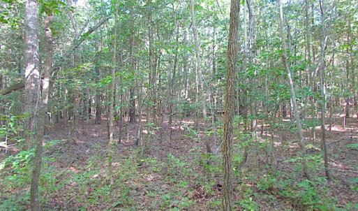 Photo of SOLD!!  17 Acres of Timber and Farm Land in Southampton County VA!