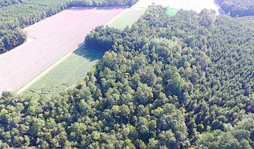 Photo of SOLD!!  17 Acres of Timber and Farm Land in Southampton County VA!