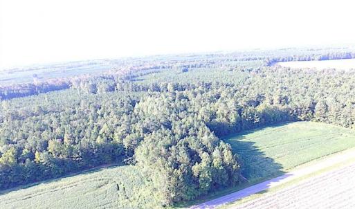 Photo of SOLD!!  17 Acres of Timber and Farm Land in Southampton County VA!