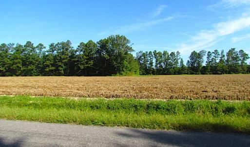Photo of SOLD!!  17 Acres of Timber and Farm Land in Southampton County VA!
