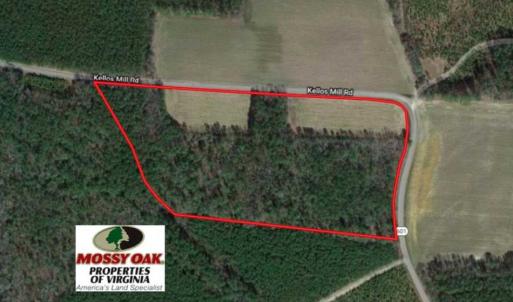 Photo of SOLD!!  17 Acres of Timber and Farm Land in Southampton County VA!