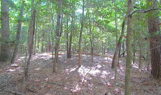 Photo of SOLD!!  17 Acres of Timber and Farm Land in Southampton County VA!