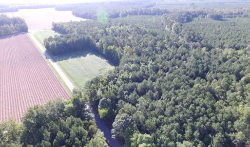 Photo of SOLD!!  17 Acres of Timber and Farm Land in Southampton County VA!