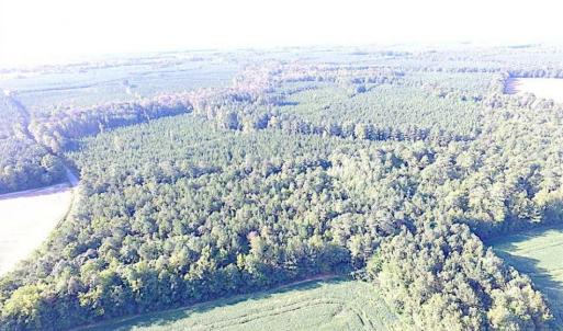 Photo of SOLD!!  17 Acres of Timber and Farm Land in Southampton County VA!