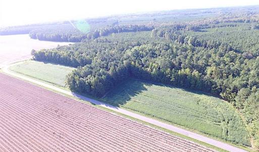 Photo of SOLD!!  17 Acres of Timber and Farm Land in Southampton County VA!
