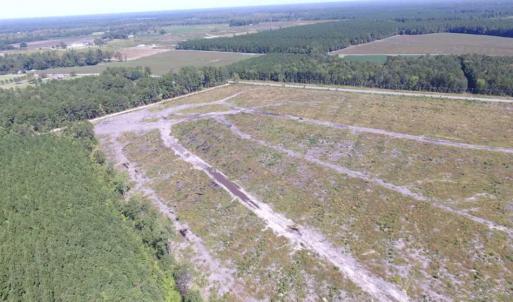 Photo of SOLD!  85 Acres of Timbered Land Where Wildlife Abounds in Suffolk Virginia!