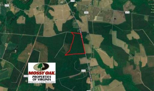 Photo of SOLD!  85 Acres of Timbered Land Where Wildlife Abounds in Suffolk Virginia!