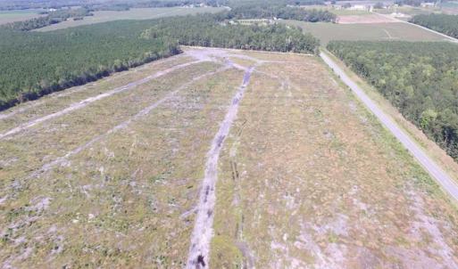 Photo of SOLD!  85 Acres of Timbered Land Where Wildlife Abounds in Suffolk Virginia!