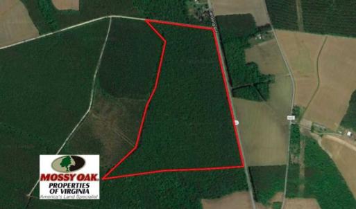 Photo of SOLD!  85 Acres of Timbered Land Where Wildlife Abounds in Suffolk Virginia!
