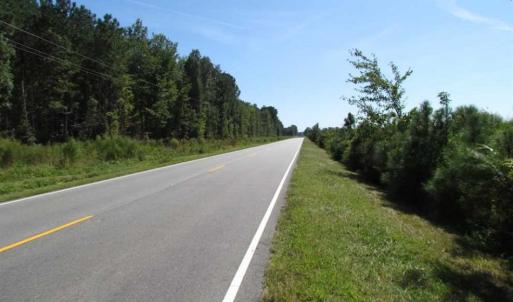 Photo of SOLD!  85 Acres of Timbered Land Where Wildlife Abounds in Suffolk Virginia!