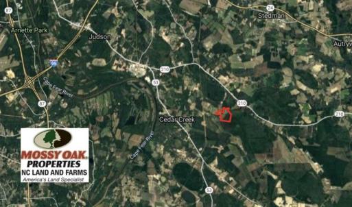 Photo of SOLD!!  112 Acres of Hunting Land For Sale in Cumberland County NC!