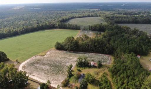 Photo of SOLD!!  112 Acres of Hunting Land For Sale in Cumberland County NC!