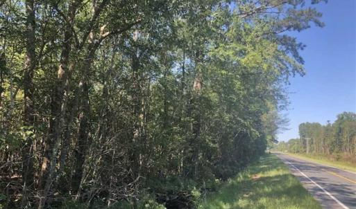 Photo of SOLD!!  112 Acres of Hunting Land For Sale in Cumberland County NC!