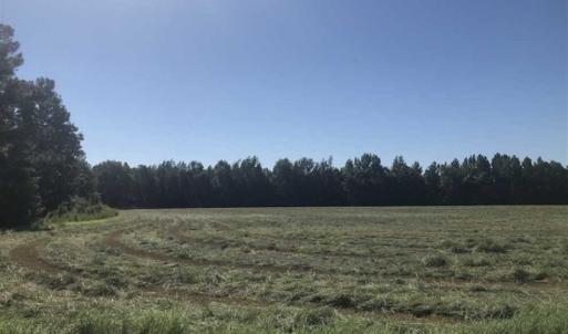 Photo of SOLD!!  112 Acres of Hunting Land For Sale in Cumberland County NC!
