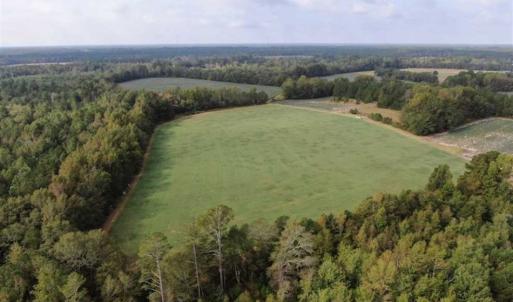 Photo of SOLD!!  112 Acres of Hunting Land For Sale in Cumberland County NC!