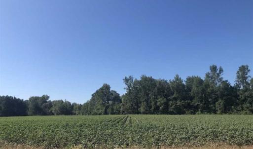Photo of SOLD!!  5 Acres of Agricultural Land For Sale in Cumberland County NC!