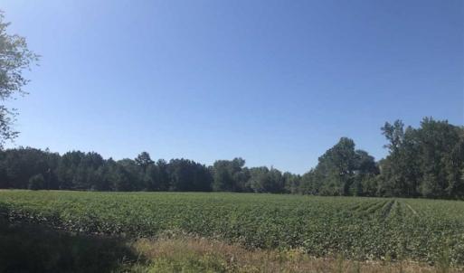 Photo of SOLD!!  5 Acres of Agricultural Land For Sale in Cumberland County NC!