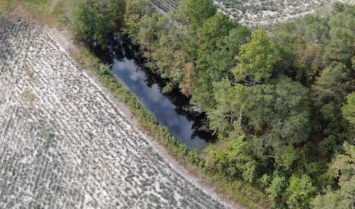 Photo of SOLD!!  5 Acres of Agricultural Land For Sale in Cumberland County NC!