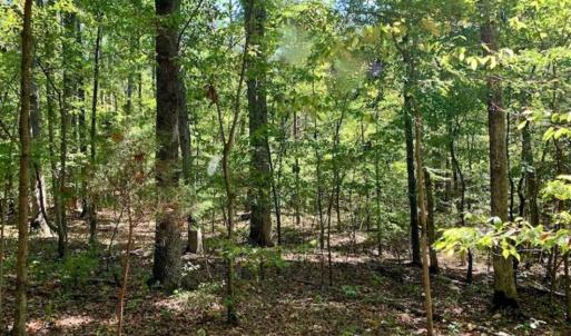 Photo of SOLD!  105 Acres of Timber and Farm Land with Pond For Sale in Caswell County NC!