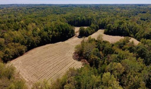 Photo of SOLD!  105 Acres of Timber and Farm Land with Pond For Sale in Caswell County NC!
