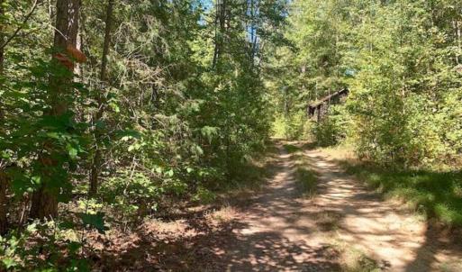 Photo of SOLD!  105 Acres of Timber and Farm Land with Pond For Sale in Caswell County NC!