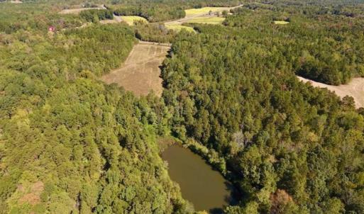 Photo of SOLD!  105 Acres of Timber and Farm Land with Pond For Sale in Caswell County NC!