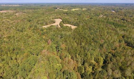 Photo of SOLD!  105 Acres of Timber and Farm Land with Pond For Sale in Caswell County NC!