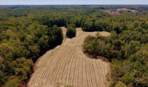 Photo of SOLD!  105 Acres of Timber and Farm Land with Pond For Sale in Caswell County NC!