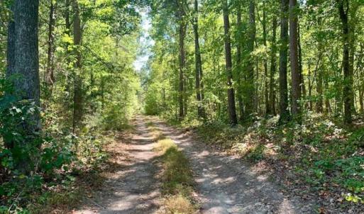 Photo of SOLD!  105 Acres of Timber and Farm Land with Pond For Sale in Caswell County NC!