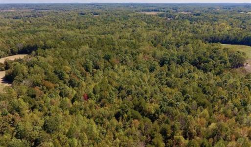 Photo of SOLD!  105 Acres of Timber and Farm Land with Pond For Sale in Caswell County NC!