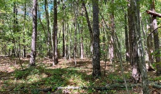 Photo of SOLD!  105 Acres of Timber and Farm Land with Pond For Sale in Caswell County NC!