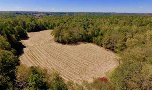 Photo of SOLD!  105 Acres of Timber and Farm Land with Pond For Sale in Caswell County NC!