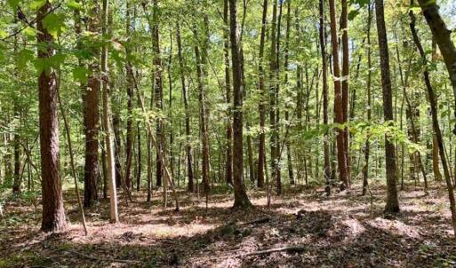 Photo of SOLD!  105 Acres of Timber and Farm Land with Pond For Sale in Caswell County NC!