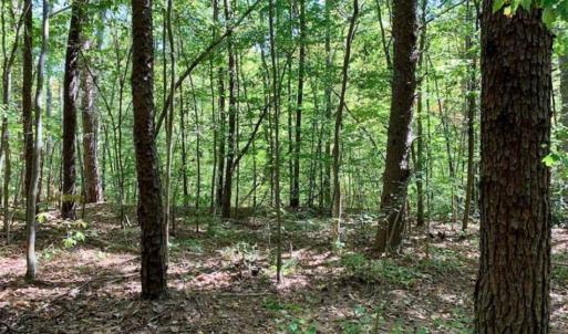 Photo of SOLD!  105 Acres of Timber and Farm Land with Pond For Sale in Caswell County NC!