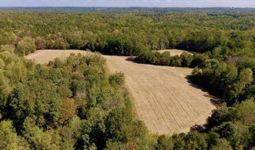 Photo of SOLD!  105 Acres of Timber and Farm Land with Pond For Sale in Caswell County NC!