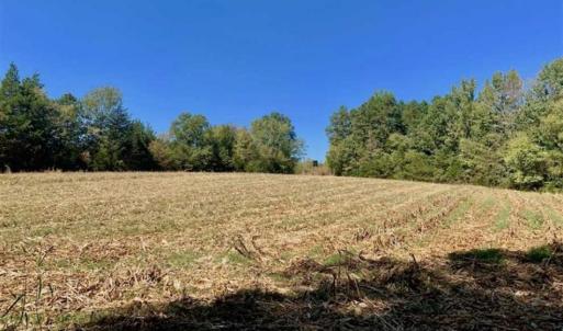 Photo of SOLD!  105 Acres of Timber and Farm Land with Pond For Sale in Caswell County NC!