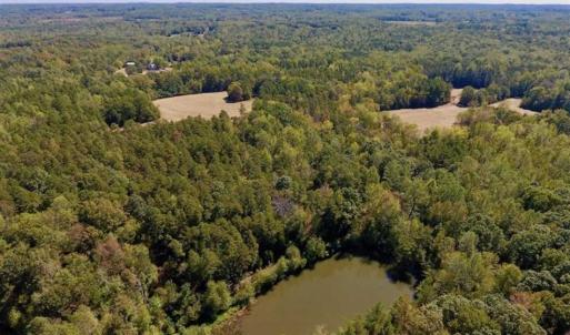 Photo of SOLD!  105 Acres of Timber and Farm Land with Pond For Sale in Caswell County NC!