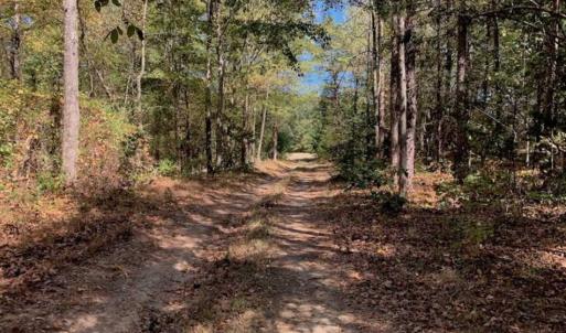 Photo of SOLD!  105 Acres of Timber and Farm Land with Pond For Sale in Caswell County NC!